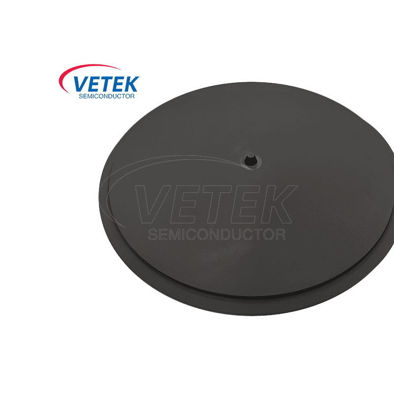 CVD SIC Cotating Graphite Repector